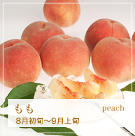 もも peach 8月初旬〜9月上旬