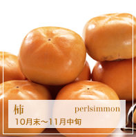柿 perlsimmon 10月末〜11月中旬